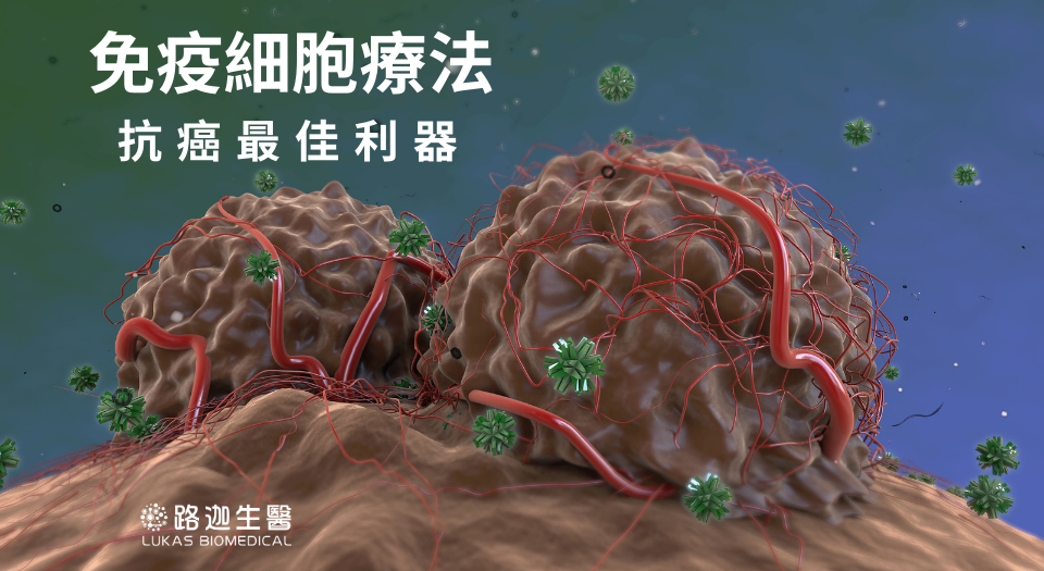 免疫細胞療法